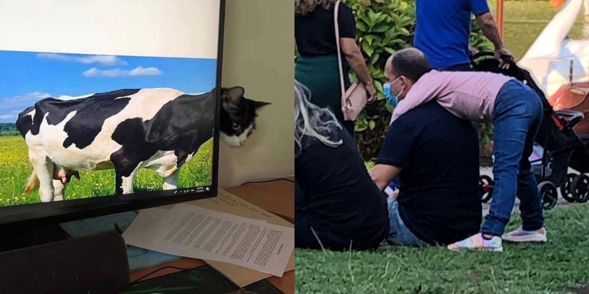 آنکھوں کو دھوکہ دینے والی تصویریں ۔۔ تیز نظر رکھنے والے افراد بھی ان تصاویر کی حقیقت نہیں جان پائیں گے