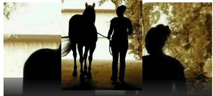 تصویر میں موجود خاتون اور گھوڑا آرہا ہے یا جا رہا ہے؟ اس سوال نے لاکھوں لوگوں کو سوچ میں مبتلا کردیا