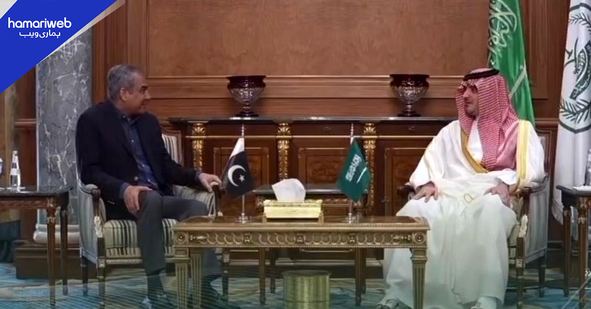 پاکستان اور سعودی عرب کے وزرائے داخلہ کی ملاقات، سیکیورٹی تعاون بڑھانے پر اتفاق