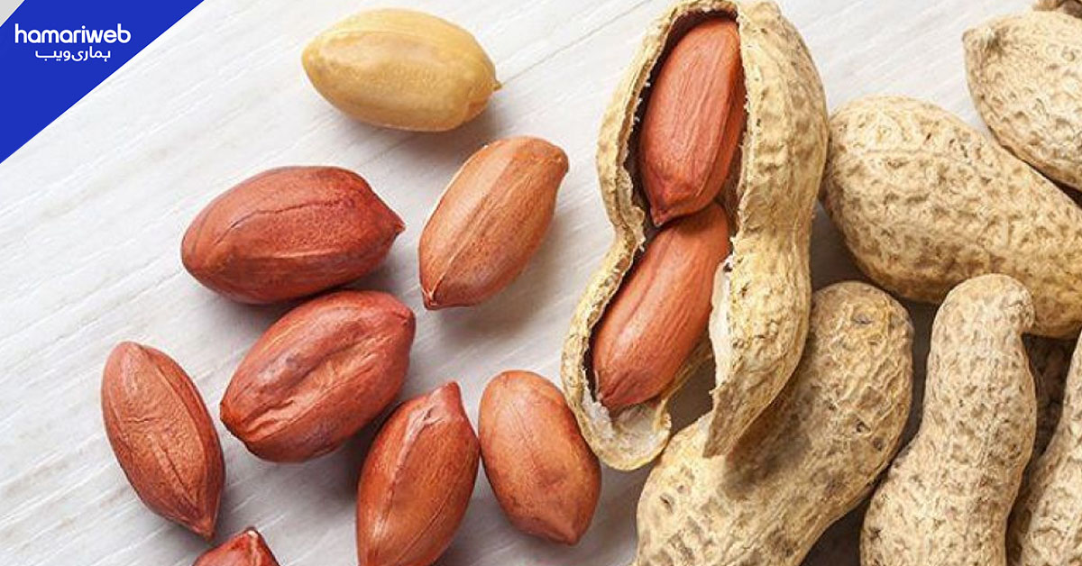 روزانہ چند مونگ پھلیاں کھائیں اور دماغی قوت میں حیران کن اضافہ دیکھیں