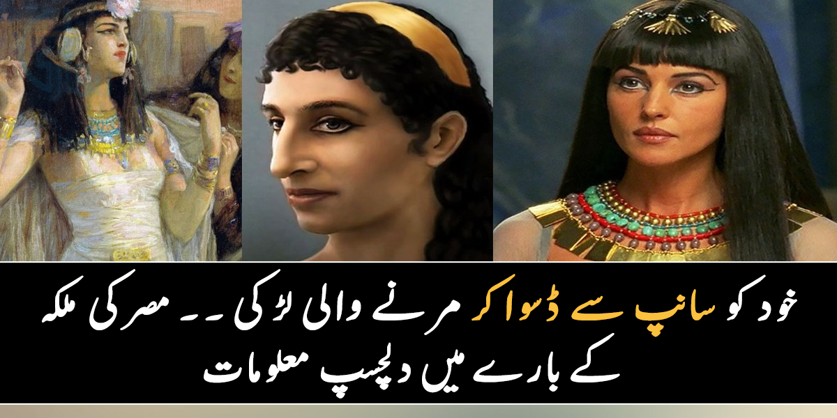 خود کو سانپ سے ڈسوا کے مرنے والی لڑکی۔۔ جانیے مصر کی اس خوبصورت ملکہ کے بارے میں چند ایسی معلومات، جس نے روم کے حکمرانوں کو تباہ کر دیا تھا