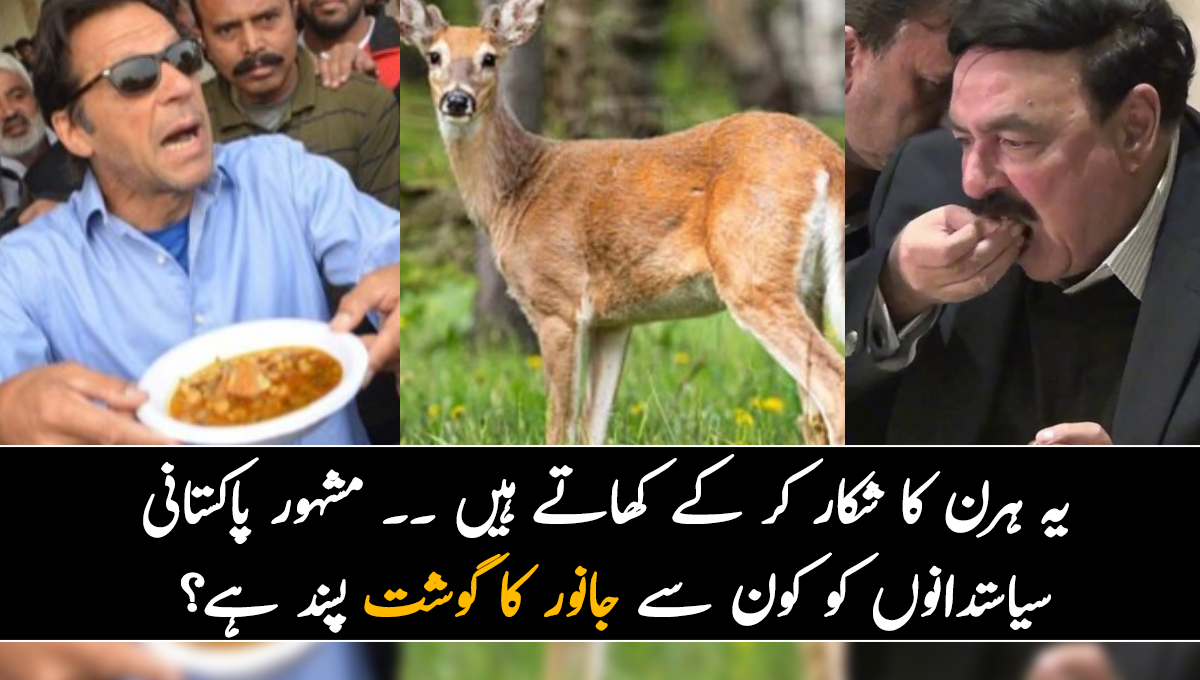 یہ ہرن کا شکار کر کے کھاتے ہیں ۔۔ پاکستان کے کون سے سیاستدان کو کونسے جانور کا گوشت پسند ہے؟ جانیئے سیاست دانوں کے بارے میں کچھ دلچسپ معلومات