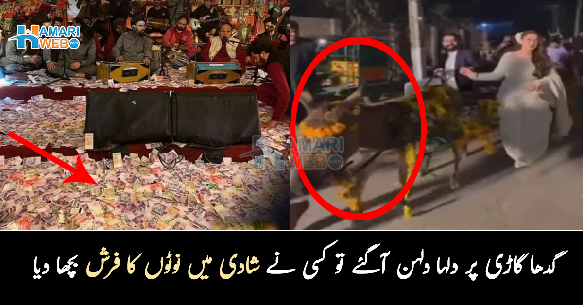 گدھا گاڑی پر دلہا دلہن آگئے تو کسی نے شادی میں نوٹوں کا فرش بچھا دیا۔۔ پاکستانی شادیوں کی ایسی تصاویر جنھیں دیکھ کر بھی یقین کرنا مشکل 