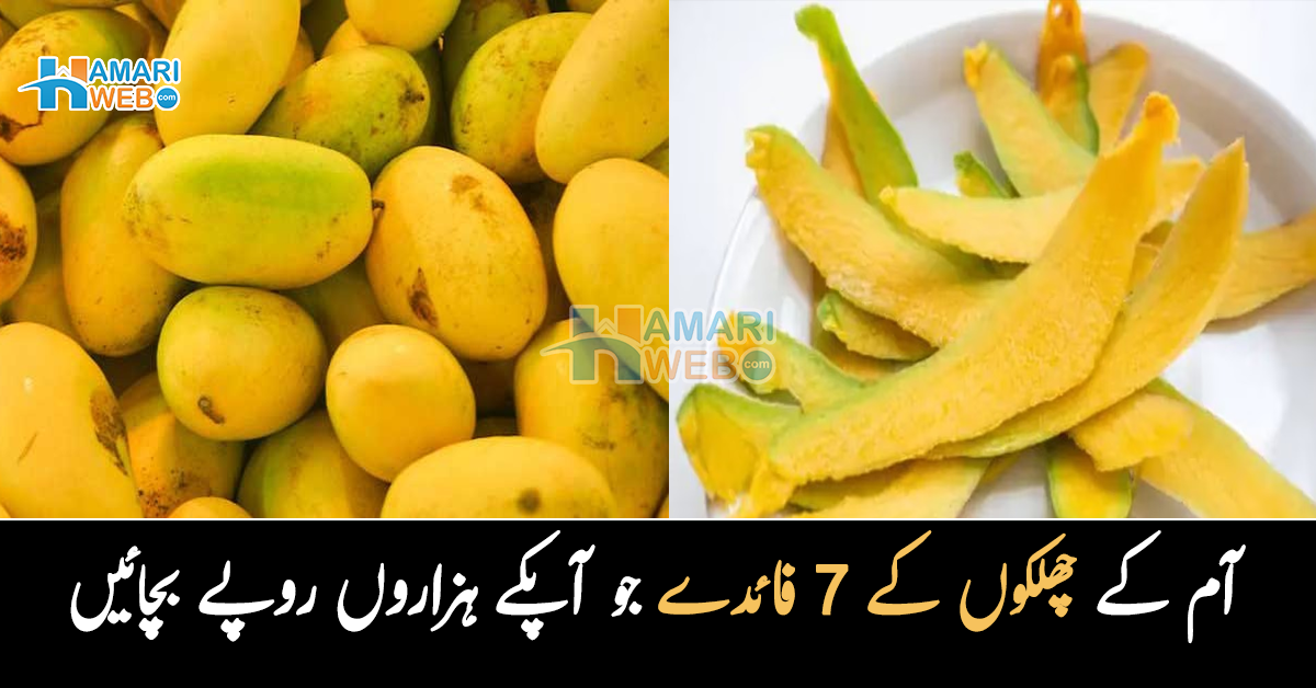 آم کے چھلکے پھینک دیتے ہیں تو اس بڑی چیز سے محروم ہوگئے ۔۔ جانیں آم کے چھلکوں کے 7 زبرست فائدے جو آپ کے ہزاروں روپے کا خرچہ بچا سکتے ہیں