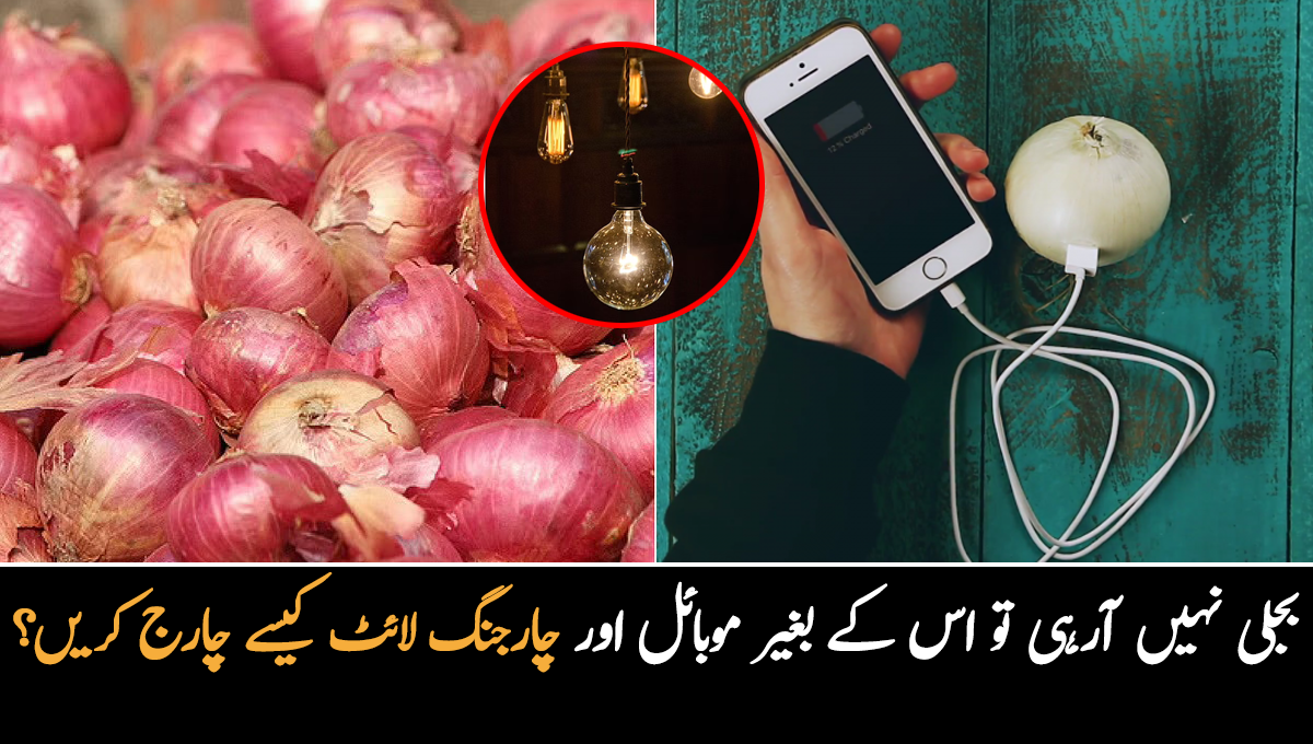 پیاز اور ان عام چیزوں سے بجلی پیدا کرنے کے وہ حیرت انگیز طریقے جو اس سے پہلے آپ نے نہیں سنیں ہوں گے