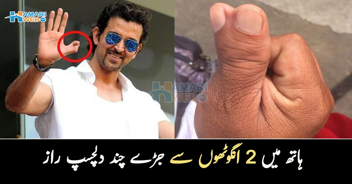 ہاتھ میں 2 انگوٹھے ہوتے ہیں کیونکہ۔۔ جانیے ان سے جڑے چند دلچسپ راز 