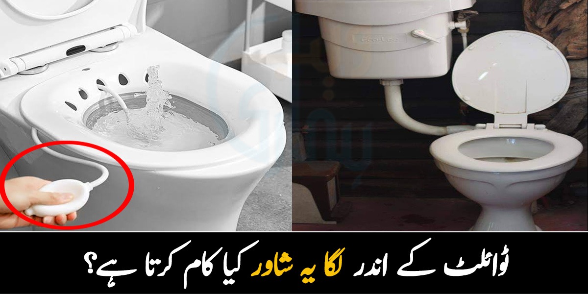 ٹوائلٹ کے اندر لگا یہ شاور کیا کام کرتا ہے؟ چند ایسی حیرت انگیز چیزیں جو آپ نے پوری زندگی نہیں دیکھی ہوں گی