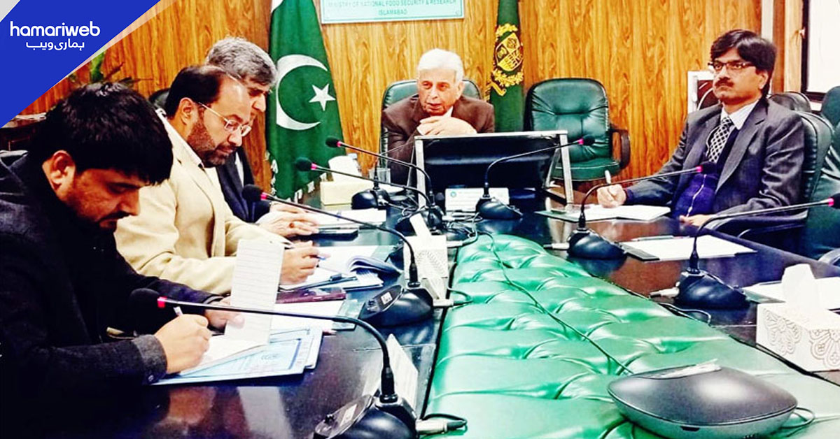 وفاقی حکومت کا گندم کی کاشت اور ذخائر پر اطمینان، صوبوں کو اہم ہدایات