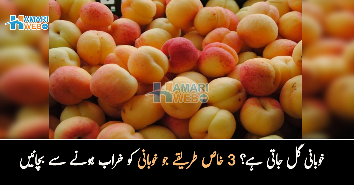 خوبانی کو گلنے اور خراب ہونے سے کیسے بچائیں؟ جانیں موسم کے پھل کو زیادہ دن تک محفوظ رکھنے کے 3 طریقے 