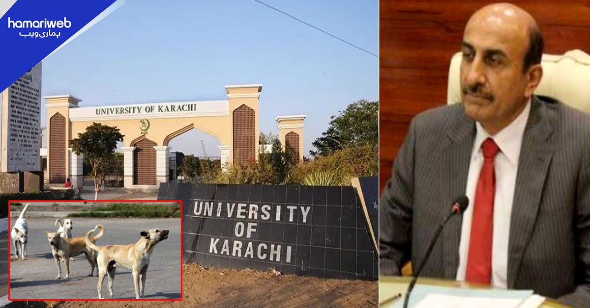 وزیر جامعات نے کتوں کے حملوں کا نوٹس لے لیا، رپورٹ طلب