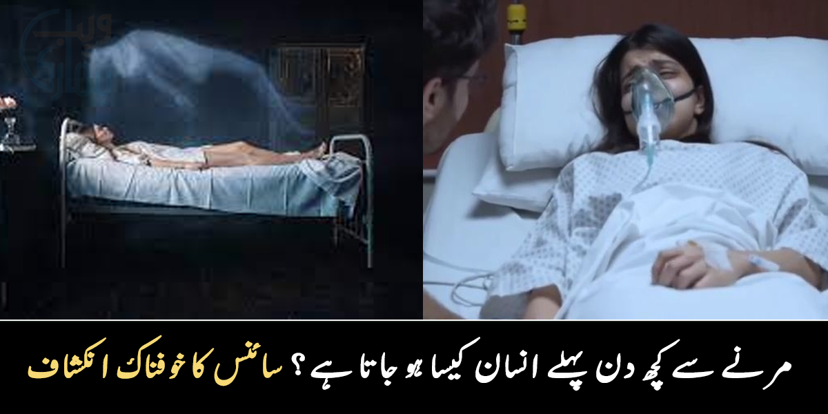 اگر مریض کے ہاتھ ٹھنڈے ہونا شروع ہو جائیں تو ۔۔ آخری چند دنوں میں مرنے والا کیا کرتا ہے؟ سائنس کا خوفناک انکشاف