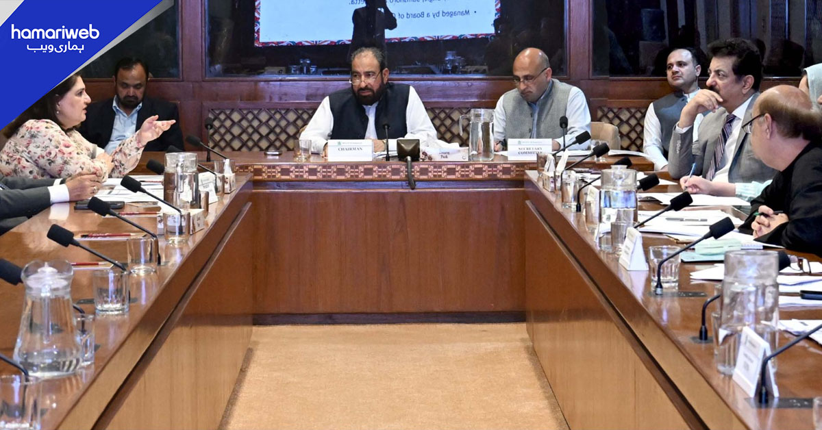 سینیٹ ذیلی کمیٹی کا ایف بی آر گوداموں سے چوری اور اسمگلنگ پر سخت نوٹس