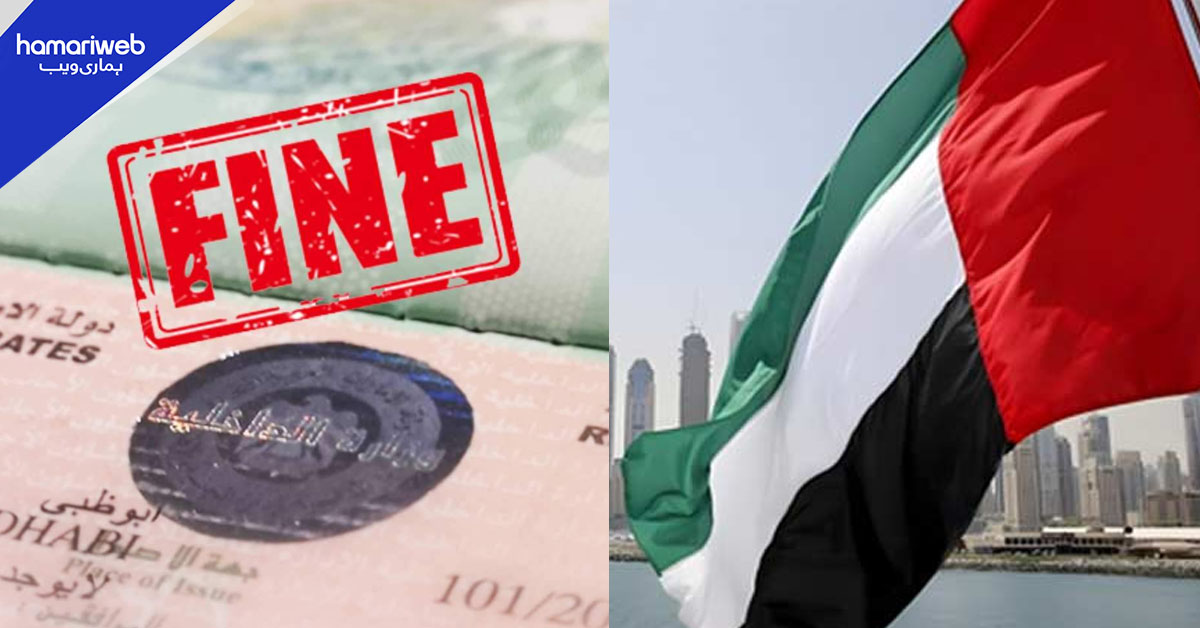یو اے ای میں غیر قانونی افراد کو پناہ یا ملازمت دینے پر بھاری جرمانے اور قید کی سزائیں نافذ