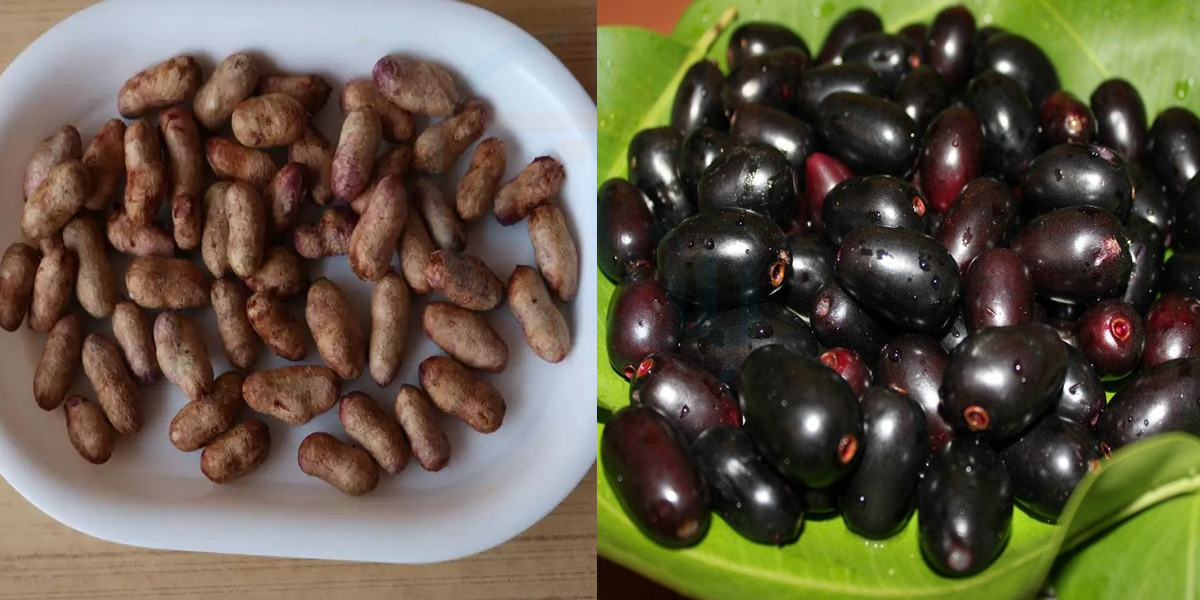 مہنگے پھلوں کے فائدے جامن کے بیج میں۔۔ جامن کے بیج پھینکنے لگے ہیں تو رک جائیں پہلے ان کے یہ فائدے جان لیں