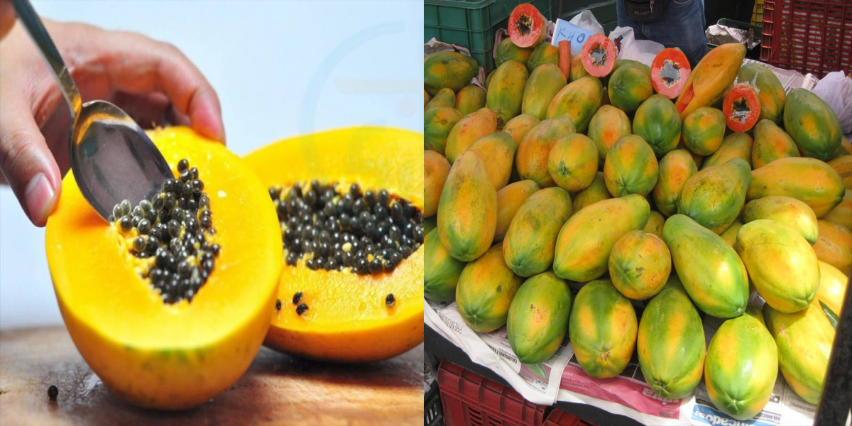 مہنگے پھلوں کے فائدے پپیتے کے بیج میں۔۔ پپیتے کے بیج پھینکنے لگے ہیں تو رک جائیں پہلے ان کے یہ فائدے اور استعمال کے طریقے جان لیں