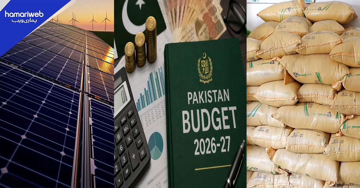 آئندہ بجٹ سے متعلق اہم فیصلے، سولر پینلز اور کھاد پر ٹیکس نہ بڑھانے کا فیصلہ