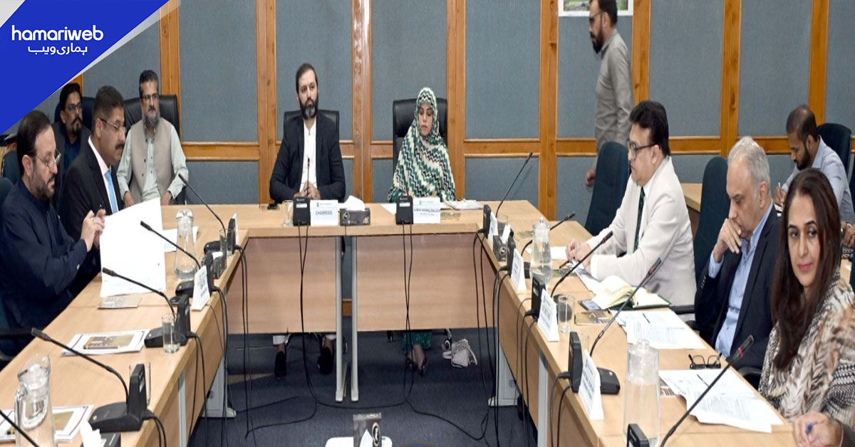 سینیٹ کی قائمہ کمیٹی برائے نجکاری کا اجلاس، پی آئی اے ملازمین کے مسائل حل کرنے کی ہدایت