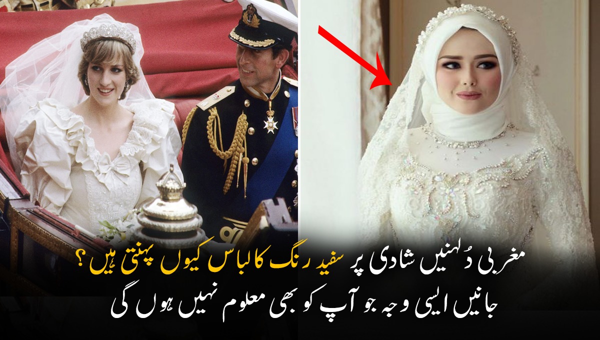 مغربی دُلہنیں شادی پر سفید رنگ کا لباس کیوں پہنتی ہیں؟ جانیں دلچسپ معلومات