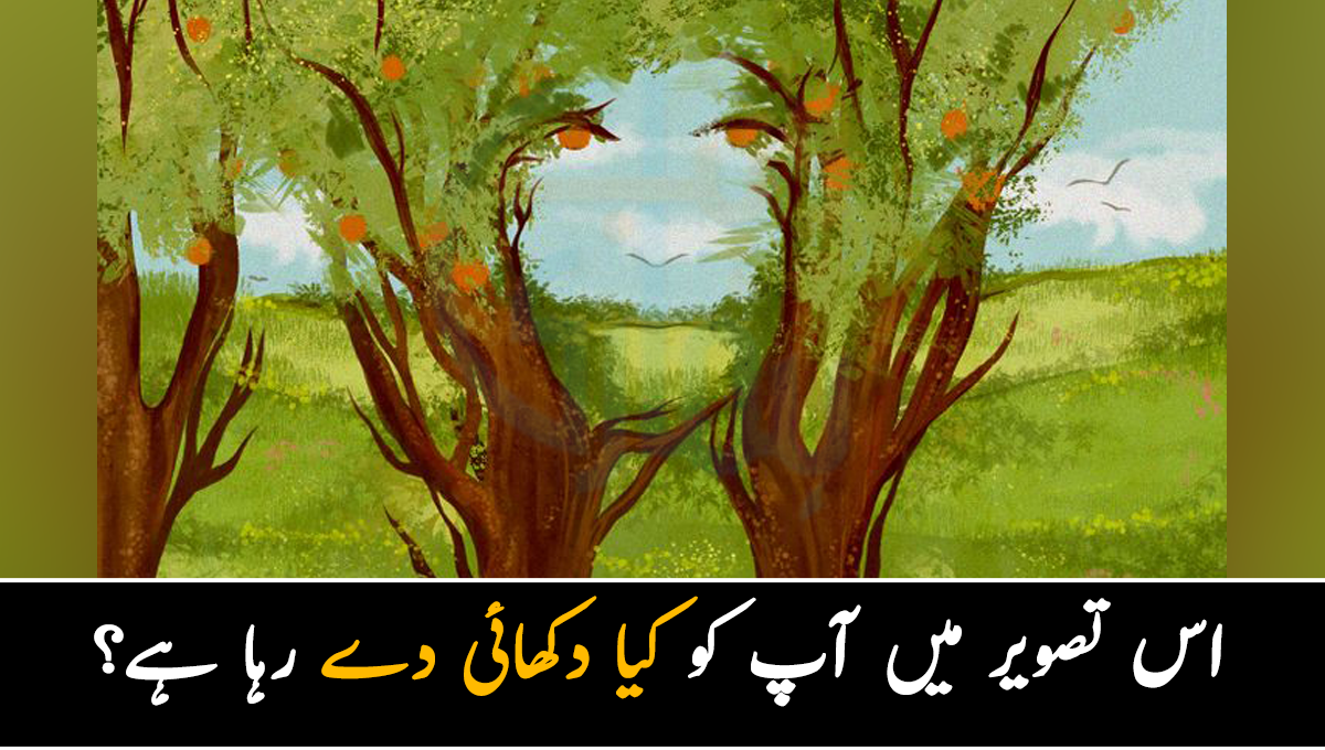 اس تصویر میں آپ کو کیا دکھائی دے رہا ہے؟ تیز آنکھوں والے افراد بھی مشکل ہی درست جواب دے پائیں گے