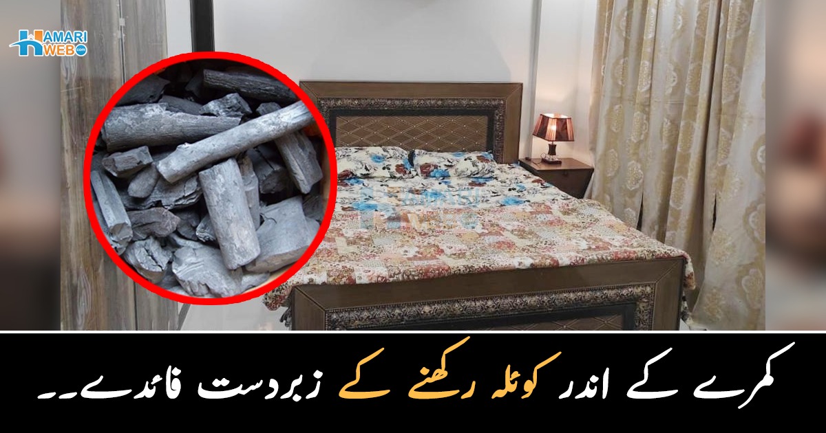امریکی اپنے کمروں میں کوئلہ کیوں رکھتے ہیں؟ گھر کے اندر کوئلہ رکھنے کے ایسے فائدے جس سے آپ بھی اپنا خرچہ بچا سکتے ہیں