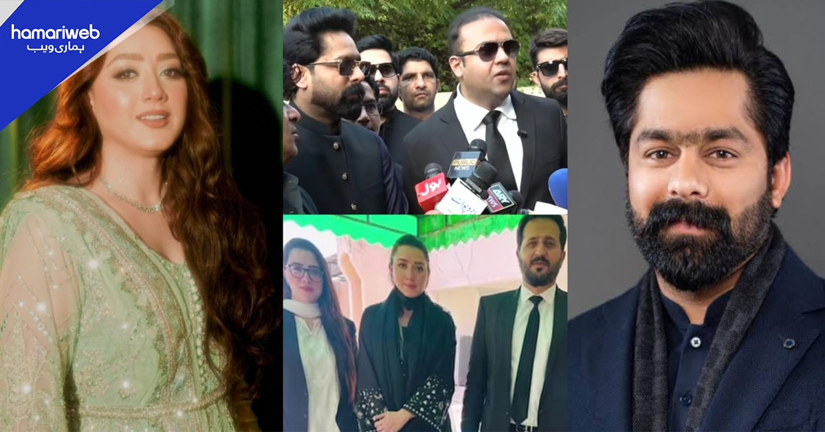 5 سال تک مالی فوائد حاصل کیے، لیگی ایم پی اے کا موقف