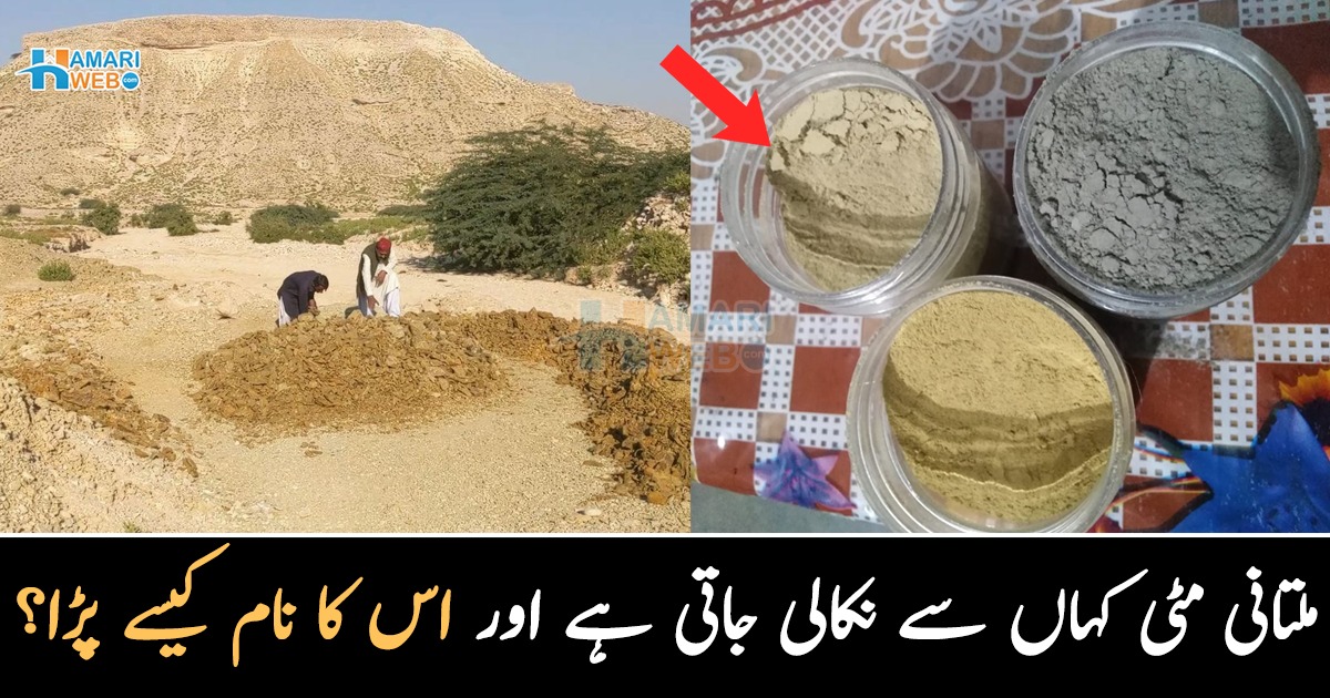 کیا ملتانی مٹی، ملتان سے نکلتی ہے یا پھر ۔۔  جانیں اس کا نام ملتانی مٹی کیسے پڑا اور یہ اصل میں کہاں سے نکالی جاتی ہے؟