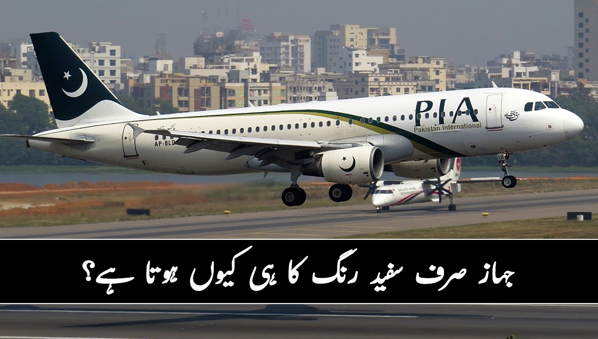 جہاز صرف سفید رنگ کا ہی کیوں ہوتا ہے؟ وجہ جان کر آپ بھی حیران رہ جائیں گے