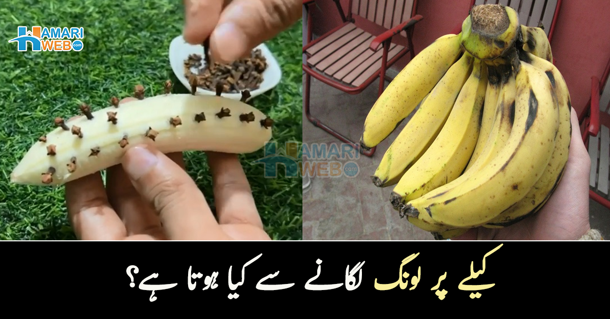 کیلے پر لونگ لگانے سے کیا ہوتا ہے؟ جانیں اس عمل کے 2 کمالات جن سے آپ بھی فائدہ اٹھا سکتے ہیں