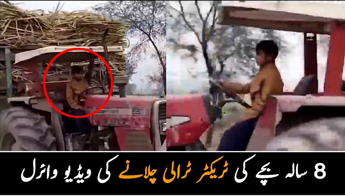 8 سال کے بچے نے ٹریکٹر کیسے چلا لیا؟ فیکٹری لے کر جانے کی ویڈیو وائرل