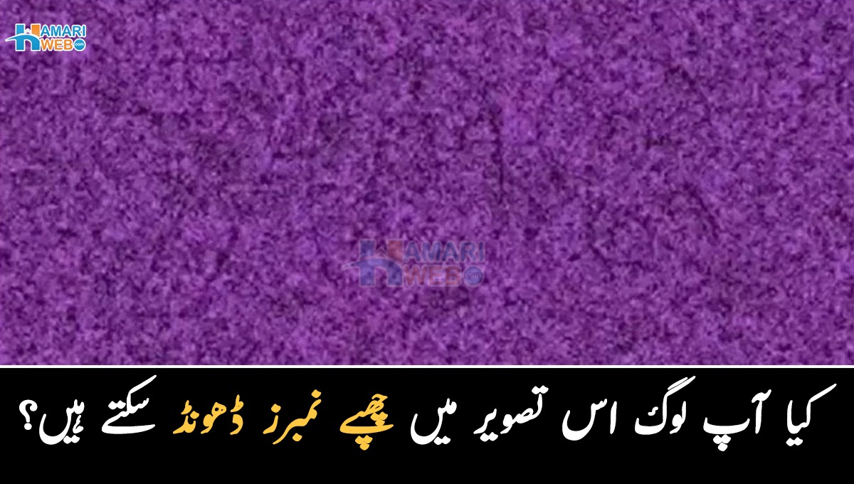 کیا آپ  اس تصویر میں چھپے نمبرز ڈھونڈ سکتے ہیں؟ باز کی نظر رکھنے والوں کے لیئے بھی ہندسے تلاش کرنا مشکل ہوجائے گا