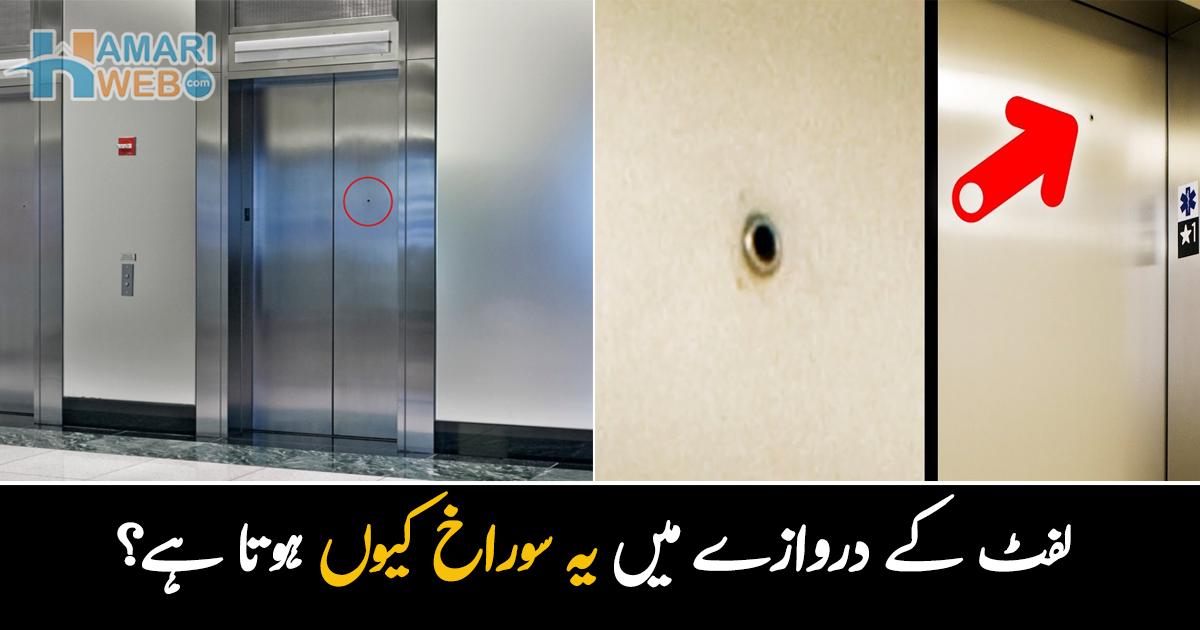 لفٹ کے دروازے میں یہ سوراخ کیوں ہوتا ہے؟ جانیں اہم معلومات