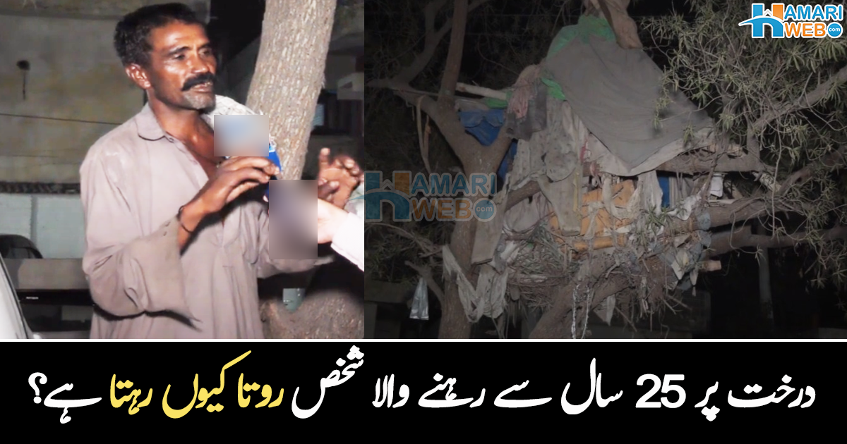 25 سال سے درخت پر رہتا ہوں ۔۔ کیڑے مکوڑوں کو کھانا کھلا کر وہیں رہنے والا شخص کس بات پر رو پڑا؟ ویڈیو
