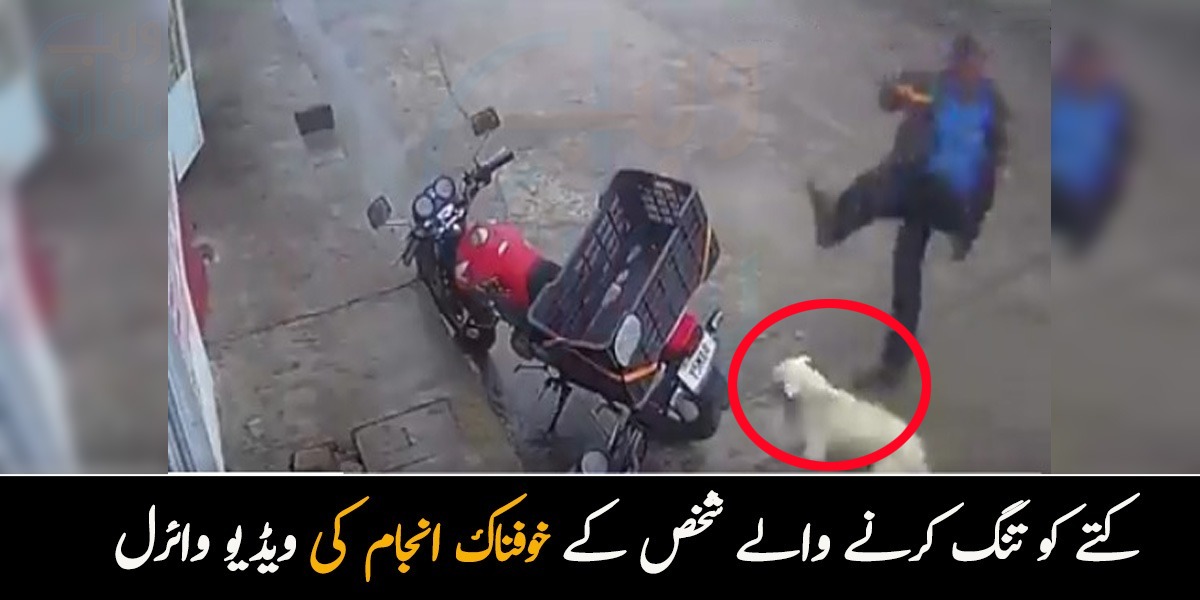 کتے کو تنگ کرنے والے شخص کے ساتھ کیا ہوا؟ خوفناک انجام کی ویڈیو وائرل 