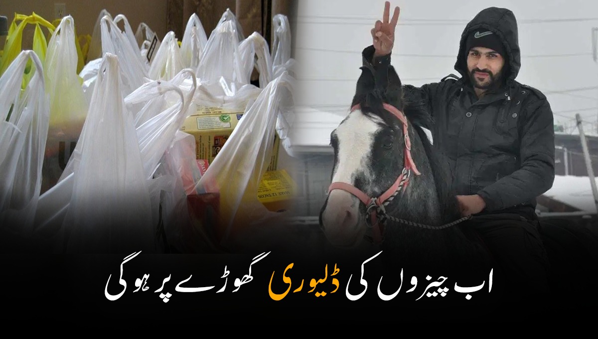 اب چیزوں کی ڈلیوری گھوڑے پر ہوگی۔۔۔ برف باری میں آن لائن ڈیلیوری کرتے گُھڑ سوار کی ویڈیو وائرل