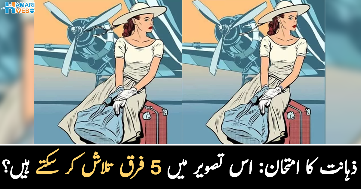 اس تصویر میں 5 فرق تلاش کر سکتے ہیں؟ صرف تیز دماغ والا شخص ہی 10 سیکنڈز میں صحیح جواب بتا سکتا ہے