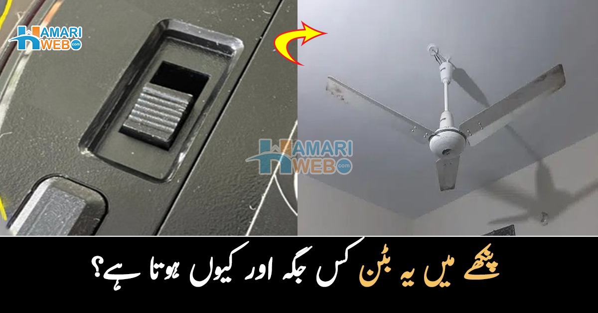 پنکھے میں یہ بٹن کس جگہ اور کیوں ہوتا ہے؟ جانیں پنکھے کے بٹن کے متعلق دلچسپ معلومات