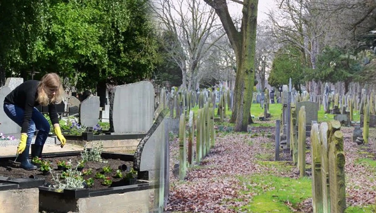 بیوی کا اپنے شوہر کی قبر پر سالگرہ ۔۔ اپنے شوہر کی قبر پر ایسا کیا دیکھا؟ خاتون کے ہوش اڑ گئے