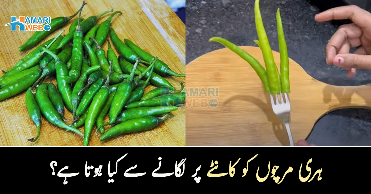 ہری مرچوں کو کانٹے پر لگانے سے کیا ہوتا ہے؟ اس کے 2 زبردست فائدے جنھیں جان کر آپ بھی ایسا کرنا چاہیں گے