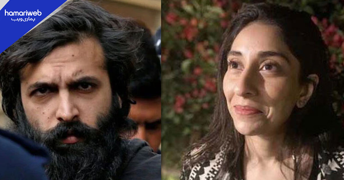 نور مقدم قتل کیس: لیو ان ریلیشن سماجی بگاڑ کا سبب ہے، جسٹس علی باقر 