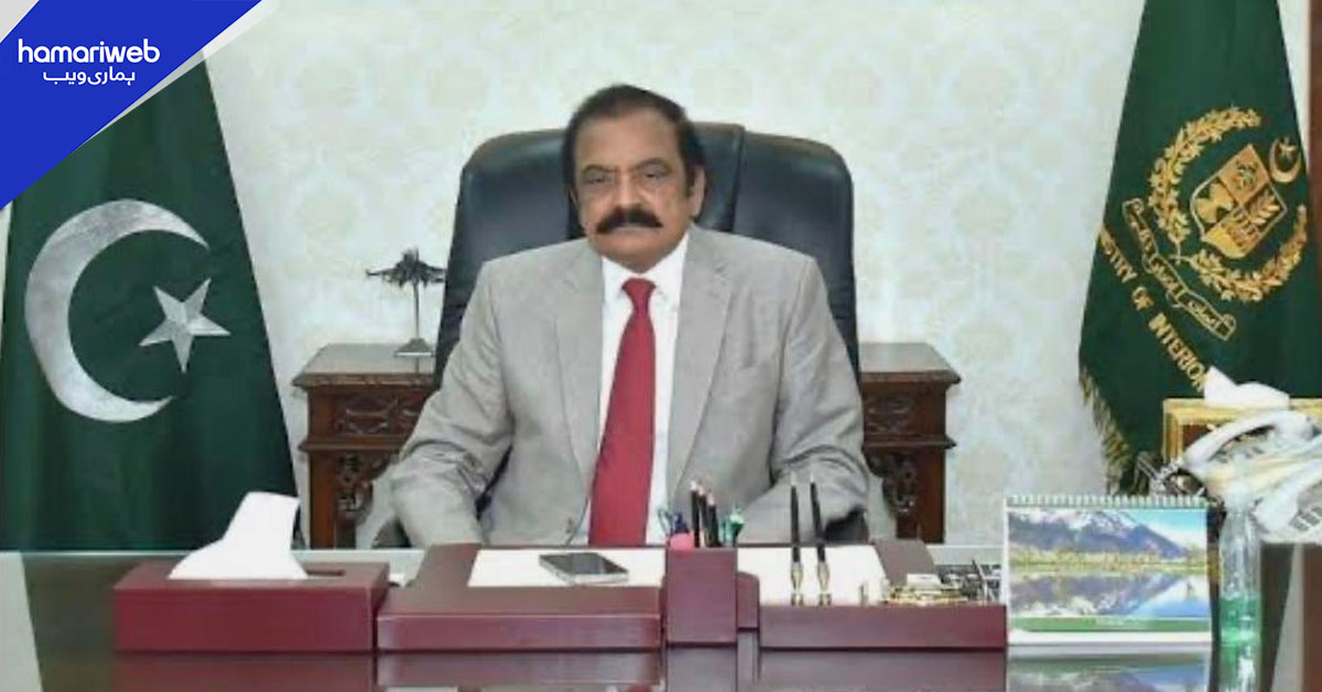 پیپلز پارٹی نے صوبوں کی تقسیم پر بات کر کے سیاسی فائدہ اٹھایا، رانا ثنا اللہ