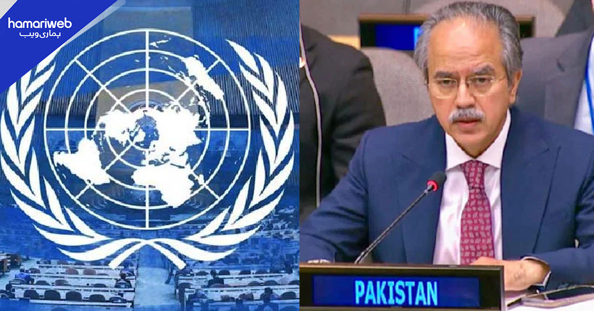 افغانستان پھر دہشت گرد گروہوں کے لیے محفوظ پناہ گاہ بن چکا ہے، پاکستان