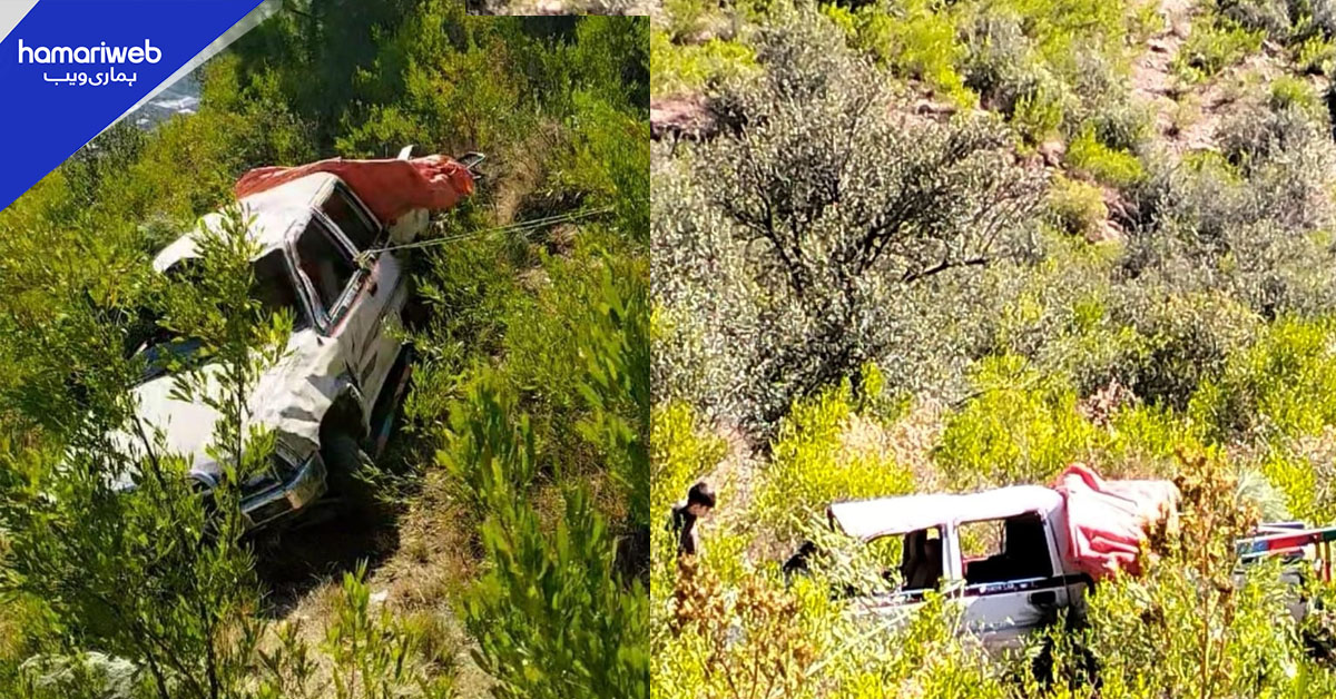 لوئر دیر میں گاڑی کھائی میں جاگری، 8 افراد زخمی