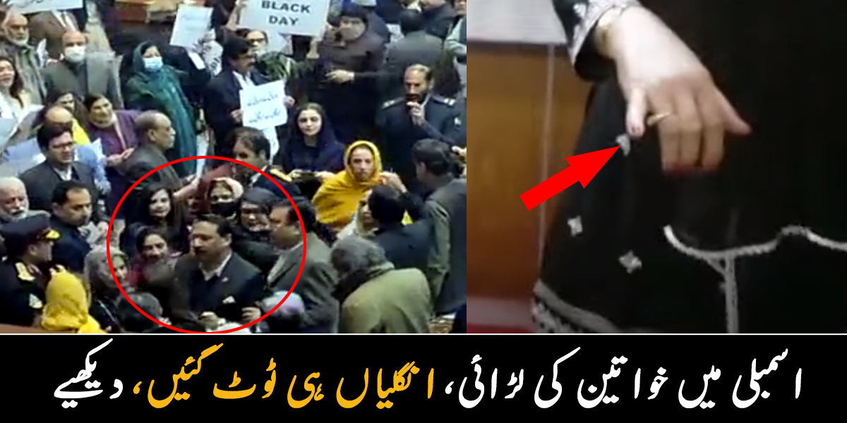 تھپڑ ایسا مارا کہ چہرا لال کر دیا ۔۔ پیپلز پارٹی اور پی ٹی آئی کی خواتین اسمبلی میں لڑتی رہیں، ویڈیو وائرل
