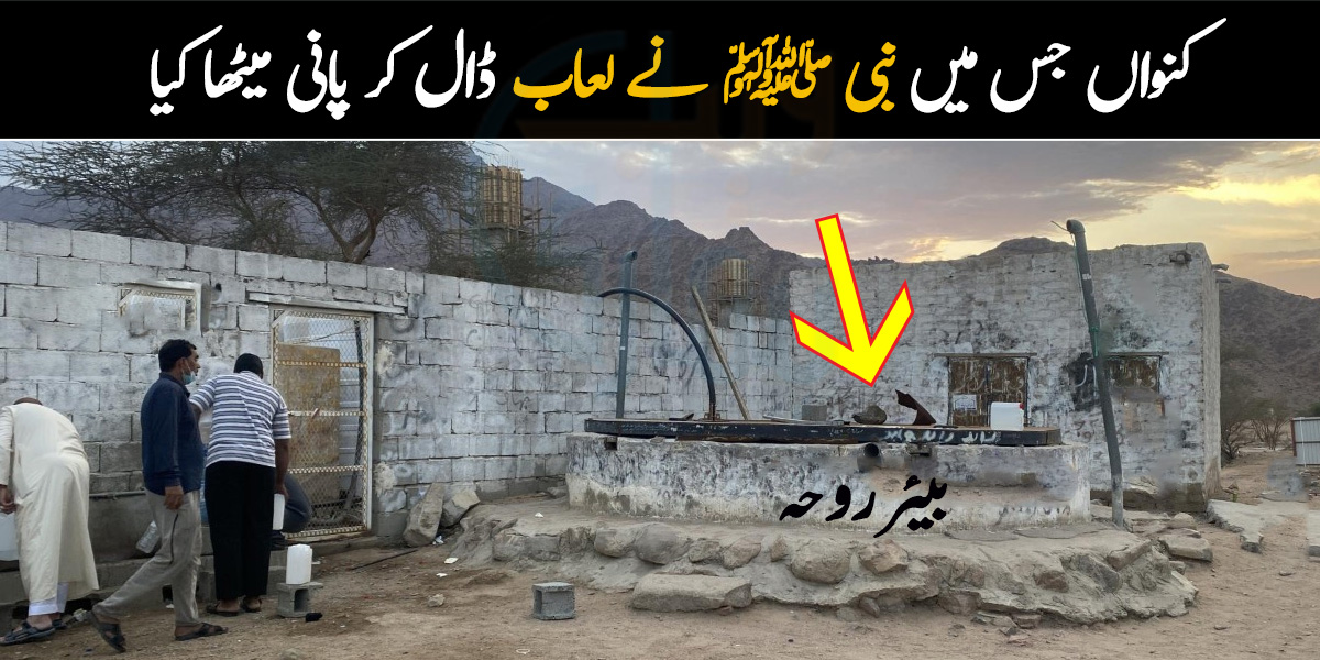 دنیا میں جنت کی وادی کہاں پر ہے اور وہ کونسا کنواں ہے جس میں نبی ﷺ نے اپنا لعاب مبارک ڈال کر کھارا پانی میٹھا کردیا تھا؟ ویڈیو مناظر