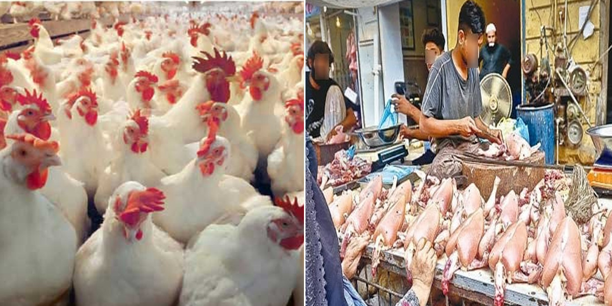 1 کلو چکن 700 روپے کا ہوگیا ۔۔ پاکستان میں مرغی کا گوشت ایک دم اتنا مہنگا کیوں ہو گیا؟