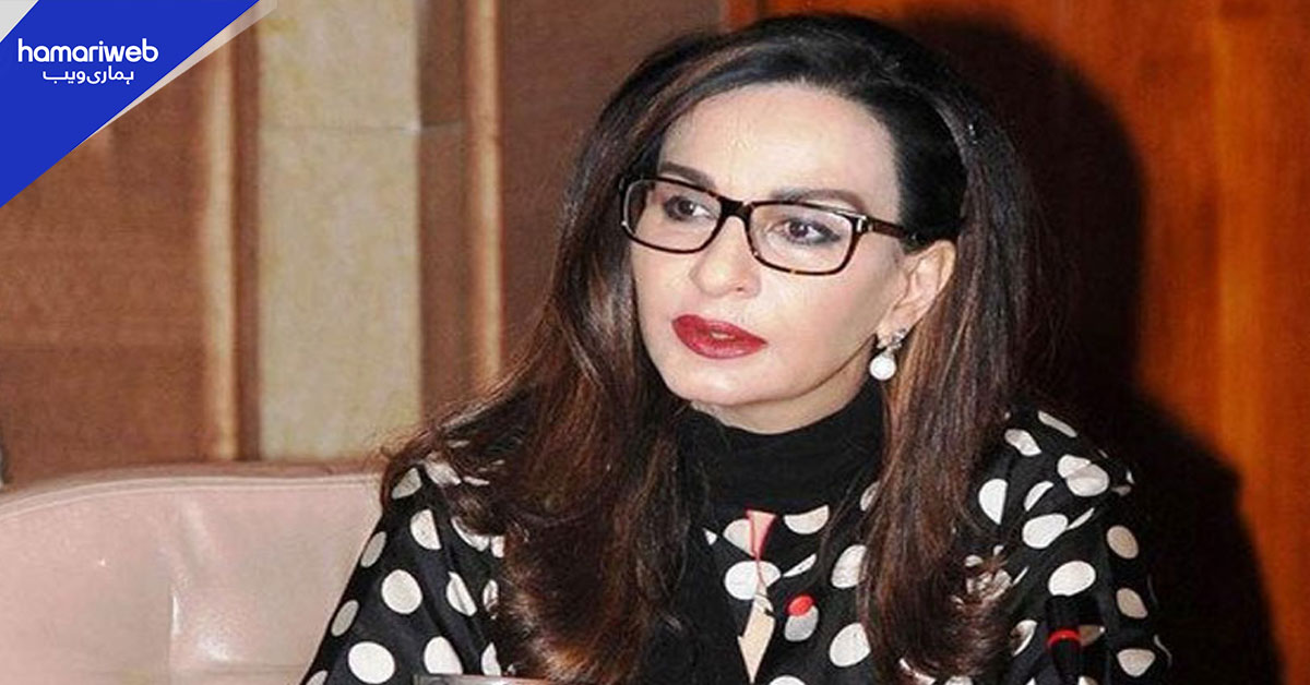 متنازع آئی ٹی بل مکمل پارلیمانی جانچ کے بغیر منظور نہیں ہوگا، شیری رحمان