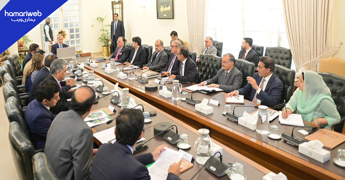 پاور سیکٹر اصلاحات پر اجلاس، قابل تجدید توانائی کے فروغ اور بجلی چوری کے خاتمے پر زور