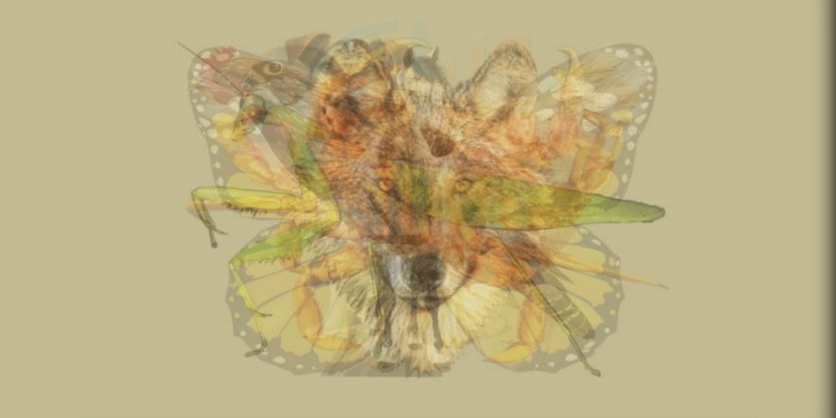 اس تصویر میں آپ کو سب سے پہلے کیا دکھائی دیا؟ ہم شرطیہ کہتے ہیں کہ تصویر کا سچ آپ کو بھی حیران ہونے پر مجبور کردے گا