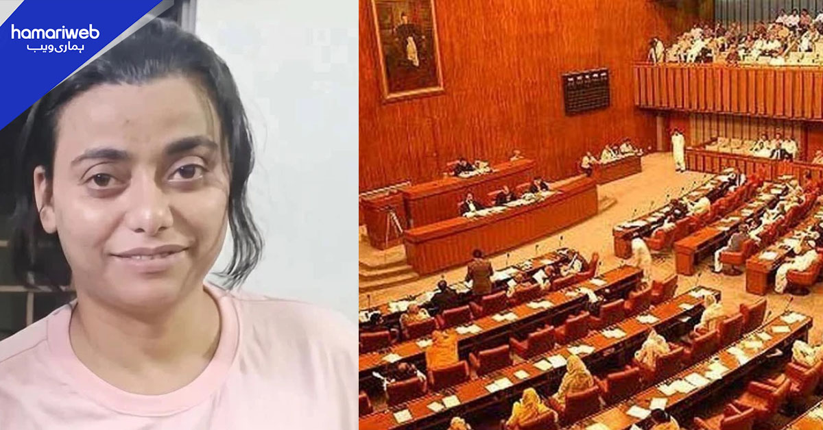 ڈرگ ڈیلر انمول عرف پنکی کا معاملہ سینیٹ تک پہنچ گیا، جامع رپورٹ طلب