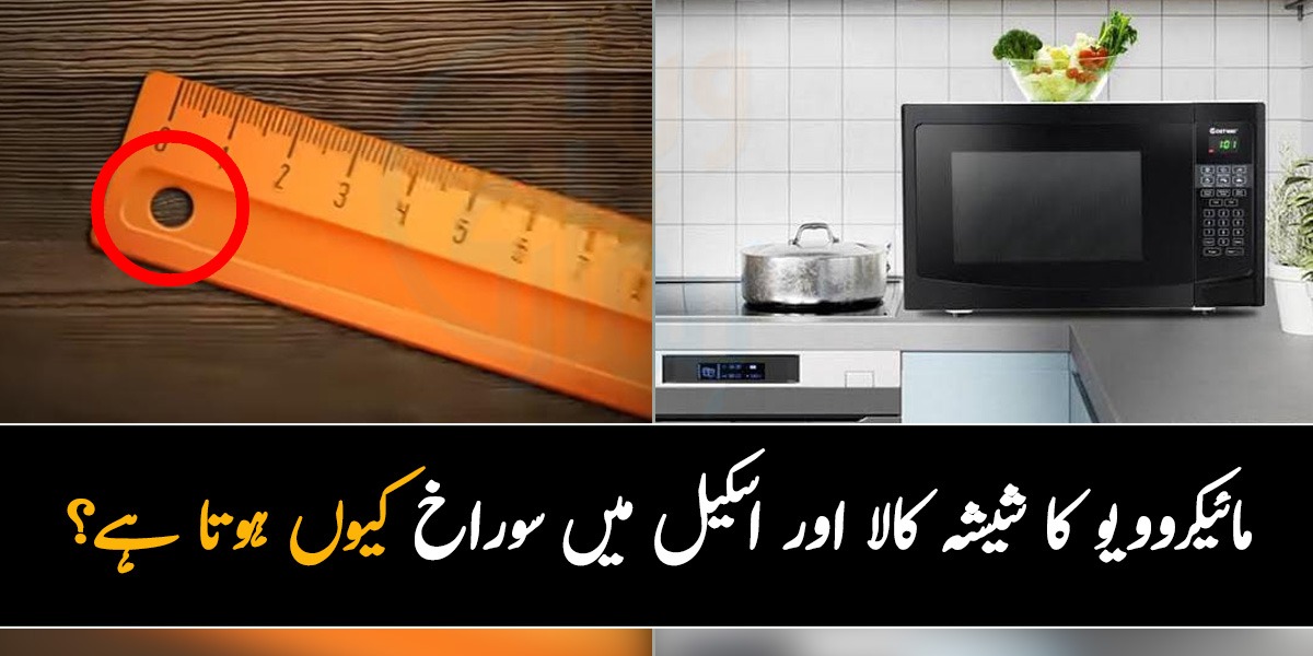 مائیکروویو کا شیشہ کالا اور اسکیل میں سوراخ کیوں ہوتا ہے؟ جانیں عام استعمال کی چیزوں کے پیچھے چھپے خفیہ راز جنھیں جان کر آپ حیران رہ جائیں گے